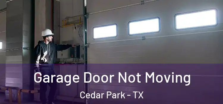  Garage Door Not Moving Cedar Park - TX