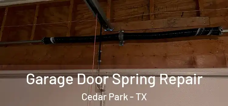  Garage Door Spring Repair Cedar Park - TX
