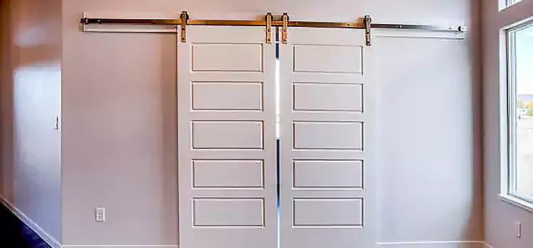 Glass Barn Door with Installation Hardware Kit Cedar Park