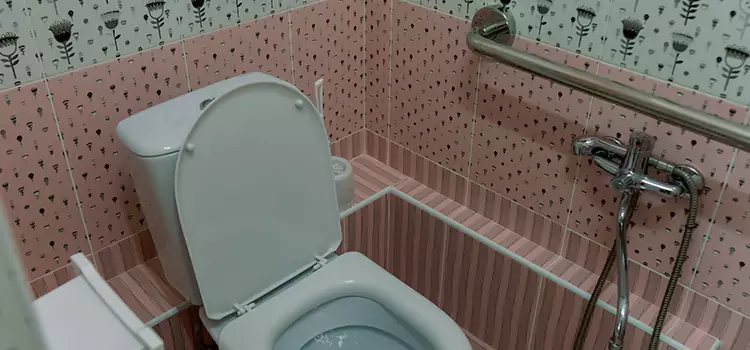 Meeting Diverse Needs With Accessible Restroom Solutions in Cedar Park, TX